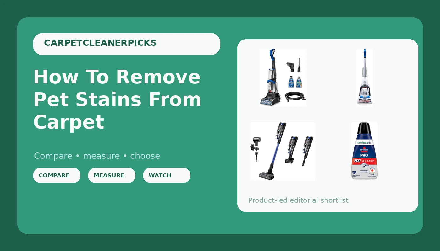 How To Remove Pet Stains From Carpet - CarpetCleanerPicks review with measurements and honest opinion